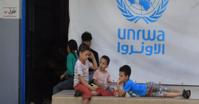 Press statement on the United Nations Relief and Works Agency for Palestine Refugees in the Near East (UNRWA)