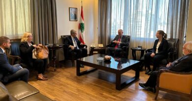 وزير الصناعة يبحث تعزيز التبادل التجاري مع ألمانيا وماليزيا